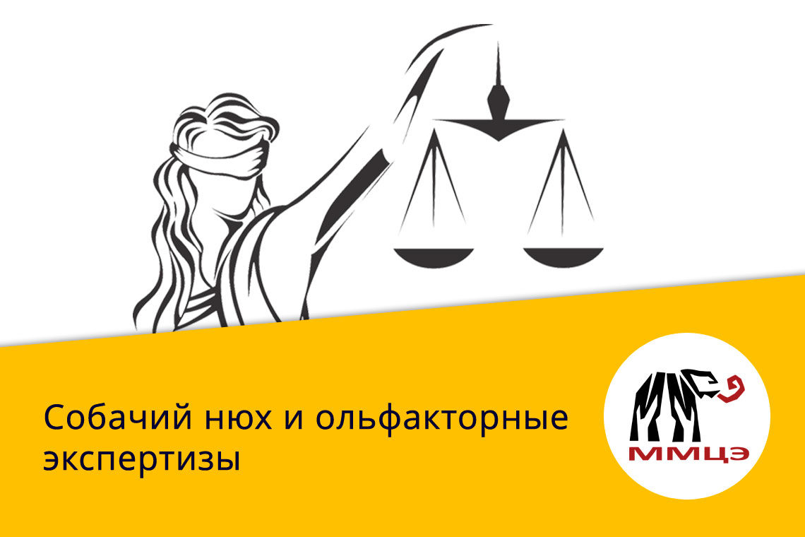 Собачий нюх и ольфакторные экспертизы